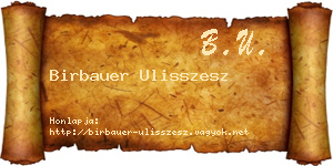 Birbauer Ulisszesz névjegykártya